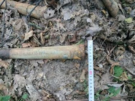 11 sztuk amunicji przeciwlotniczej znaleziono w lasach koło Przeworska