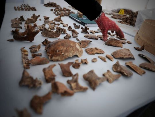 14 listopada w Mościskach odbędzie się pogrzeb żołnierzy 10. Brygady Kawalerii poległych w obronie Lwowa 14 listopada w Mościskach odbędzie się pogrzeb żołnierzy 10. Brygady Kawalerii poległych w obronie Lwowa