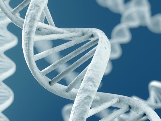 Badania DNA – precyzyjna odpowiedź