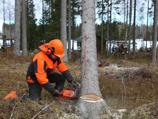 Narzędzia ogrodowe i elektronarzędzia Stihl