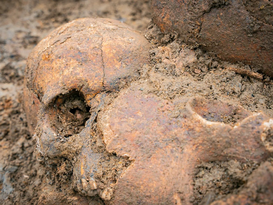 Odkrycie w Baligrodzie. Archeolodzy natrafili na szczątki żołnierzy z I wojny światowej