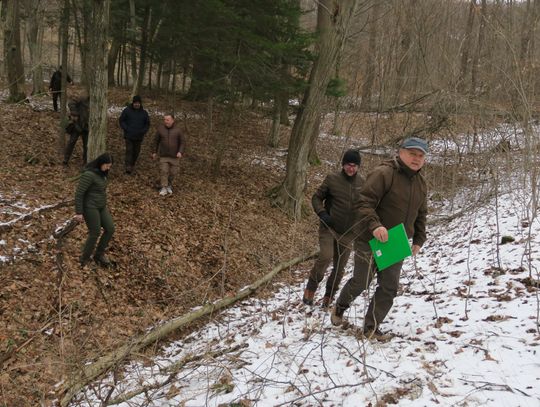 Powstanie leśny sektor w sanockim skansenie Plany powstania sektora leśnego w sanockim skansenie