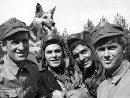 Primaaprilisowy żart z 1967 roku: czterej pancerni „jadą” do Rzeszowa