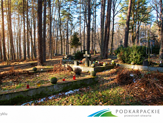 Warzyce – „podkarpackie Palmiry”. Miejsce pamięci