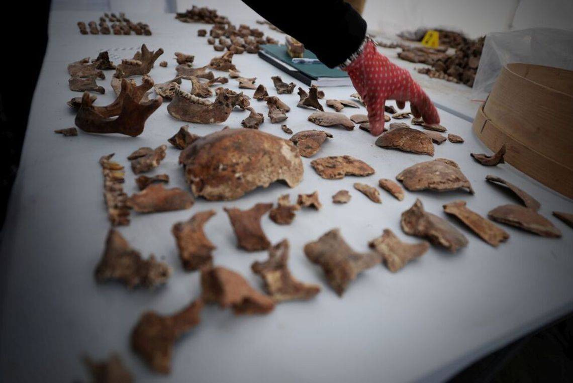 14 listopada w Mościskach odbędzie się pogrzeb żołnierzy 10. Brygady Kawalerii poległych w obronie Lwowa