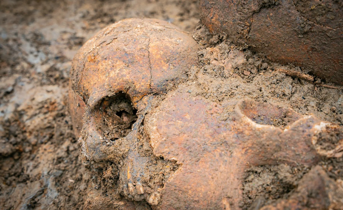 Odkrycie w Baligrodzie. Archeolodzy natrafili na szczątki żołnierzy z I wojny światowej