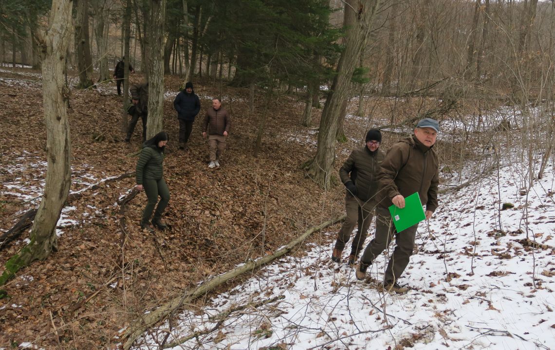 Plany powstania sektora leśnego w sanockim skansenie
