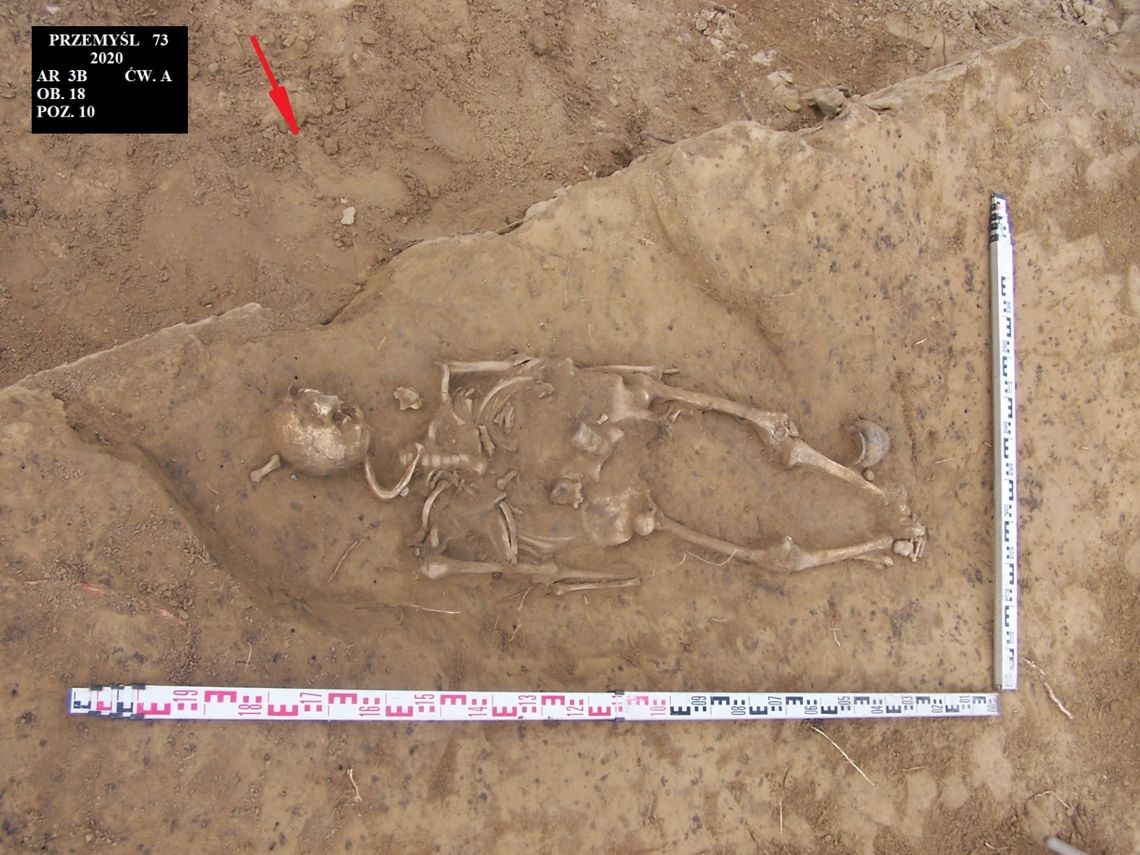 Średniowieczne cmentarzysto odkryto w czasie budowy przemyskiego sądu