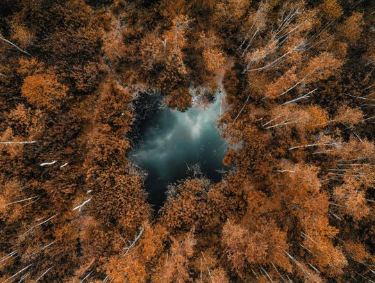II Nagroda - Adrian Tarnowski z Lublina za fotografię Oczko w lesie II Nagroda - Adrian Tarnowski z Lublina za fotografię Oczko w lesie