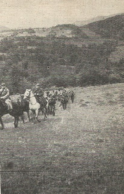 Grupa operacyjna 34. pułku piechoty w Bieszczadach