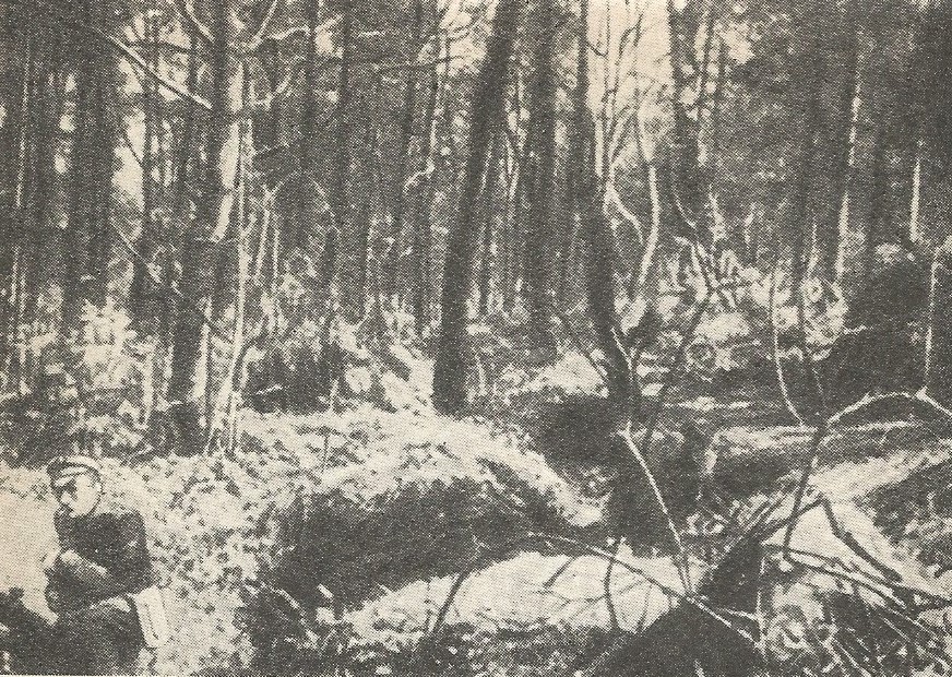 Zniszczony przez żołnierzy 34. pułku piechoty obóz UPA pod Smolnikiem